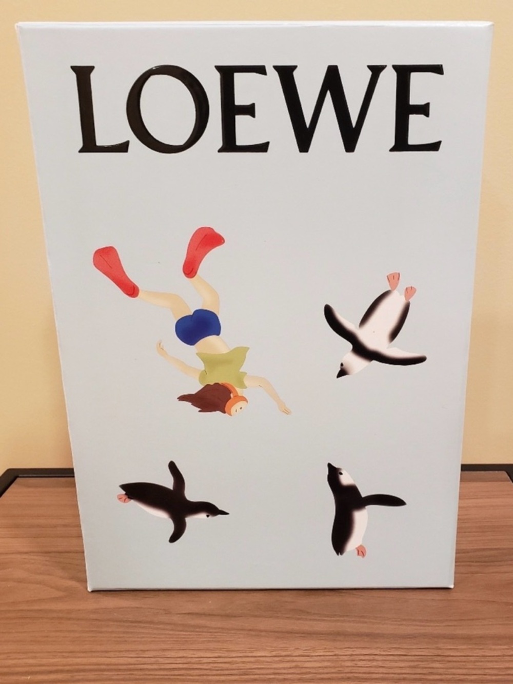 LOEWE x Suna Fujita collaboration gift box